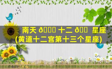 南天 🐛 十二 🐠 星座(黄道十二宫第十三个星座)